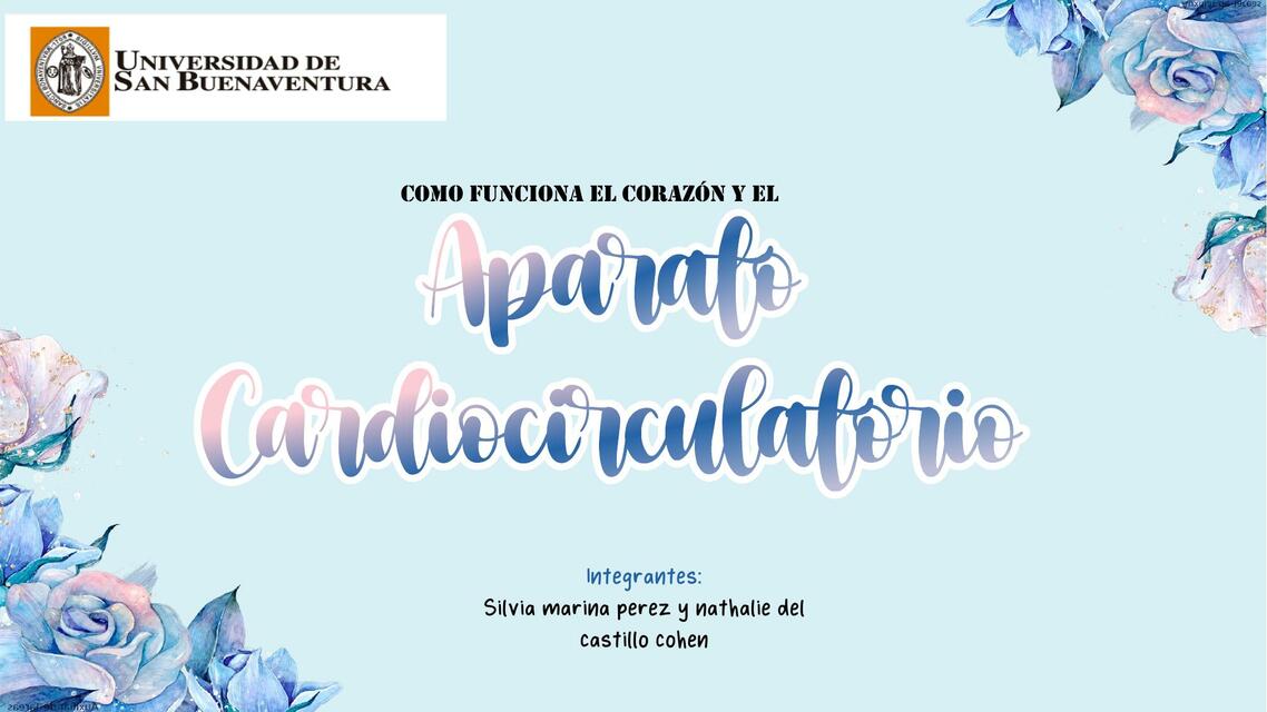 Aparato cardiovascular 