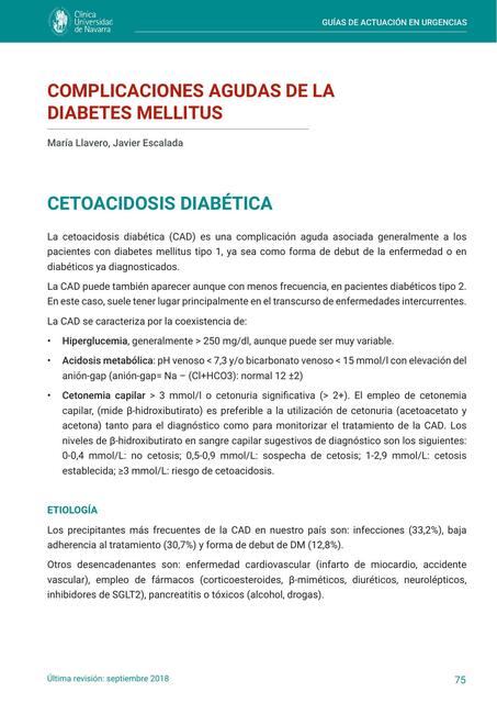 Guía actuación complicaciones diabetes