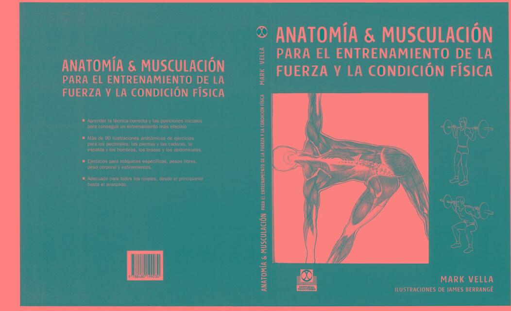 Anatomía y musculación para el entrenamiento de la fuerza y condicion física