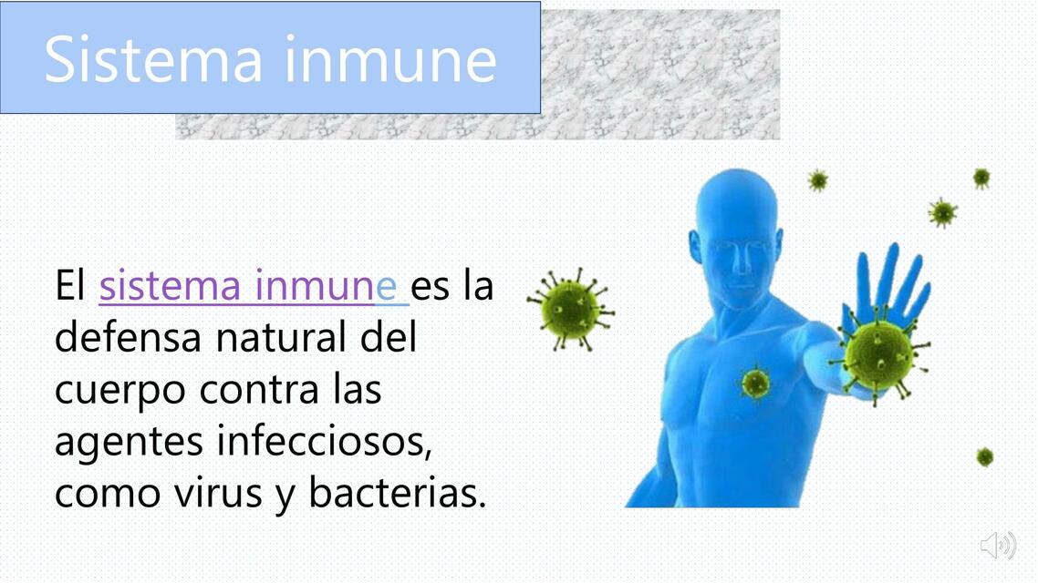 Sistema Inmune 