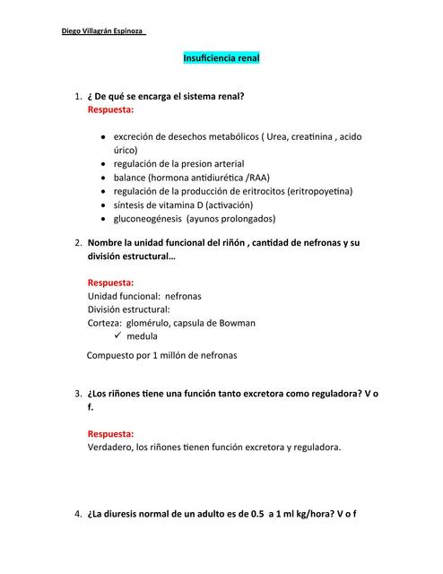 Insuficiencia Renal (Cuestionario, Resumen)