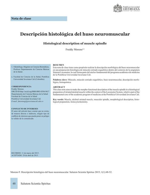 Articulamiento neuromuscular. Descripción histológica del huso neuromuscular