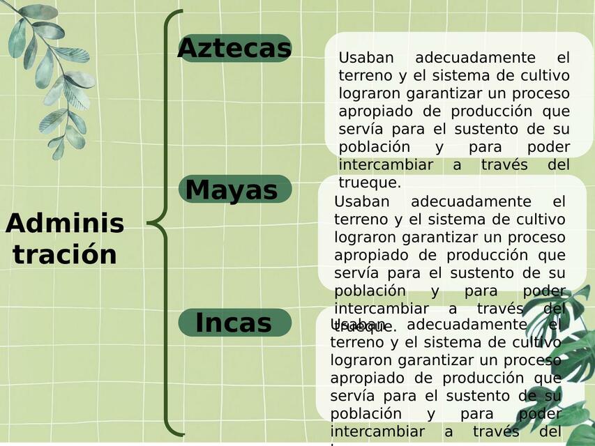 Administración de los Aztecas, Mayas e Incas