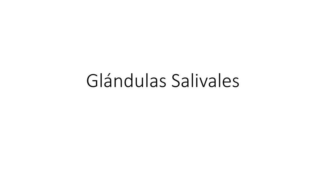 Glándulas Salivales Histología de Ross