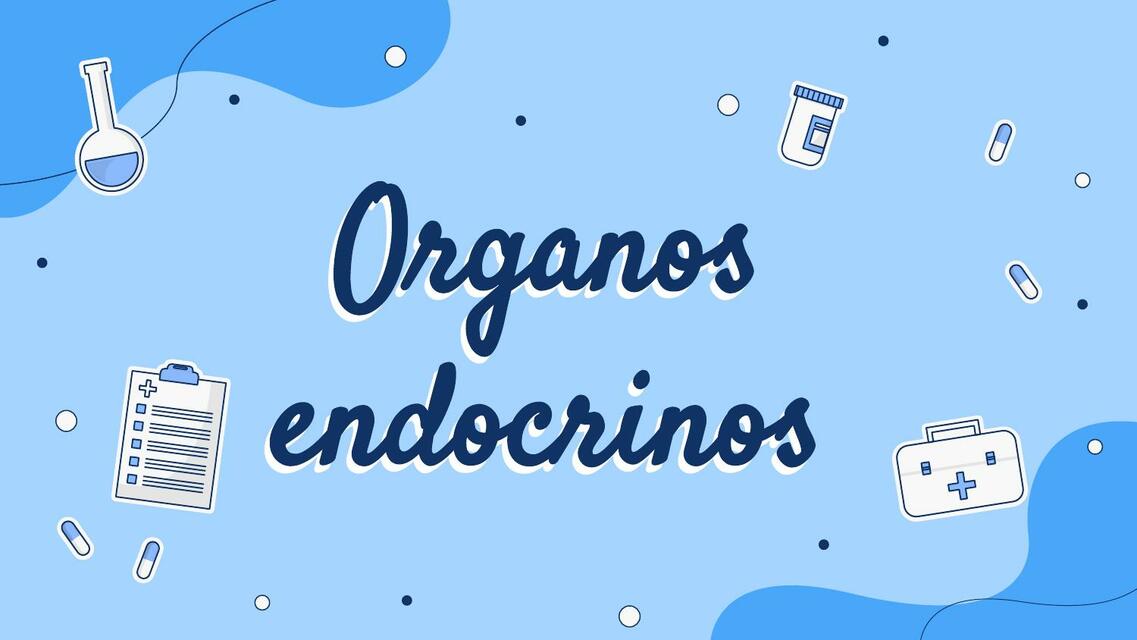 Órganos Endocrinos