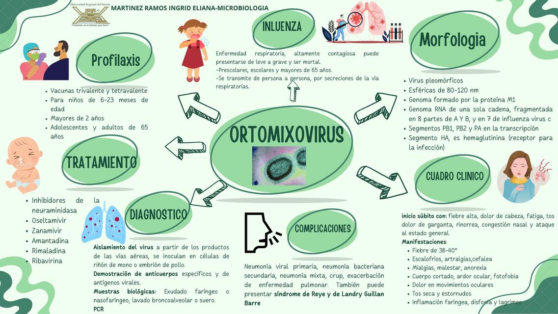 Ortomixovirus 