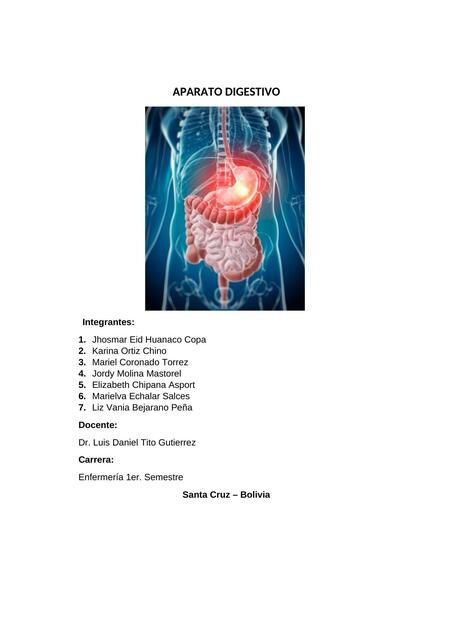 Aparato Digestivo 
