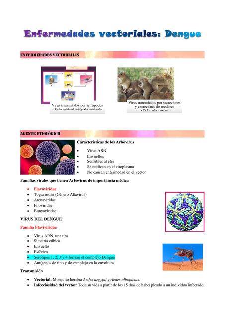 Enfermedades Vectoriales: Dengue 