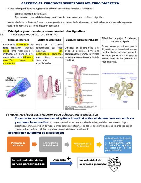 FUNCIONES SECRETORAS DEL TUBO DIGESTIVO