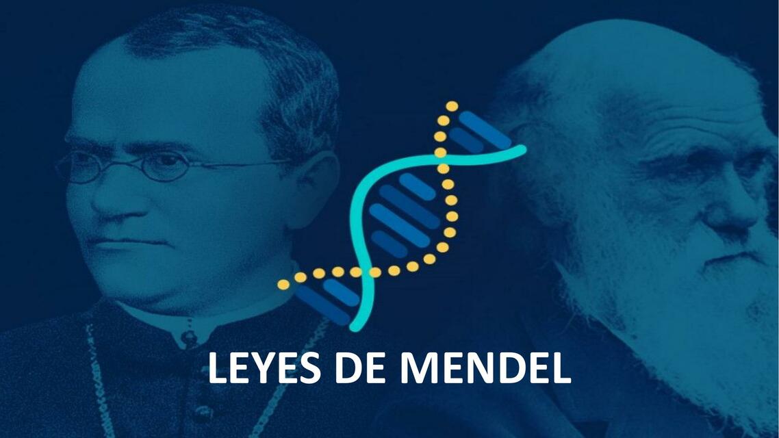 LEYES DE MENDEL- GENÉTICA MENDELIANA- HERENCIA LIGADA AL SEXO-UPAO