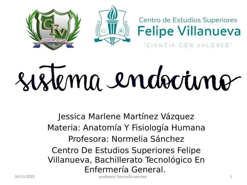 Sistema Endocrino 