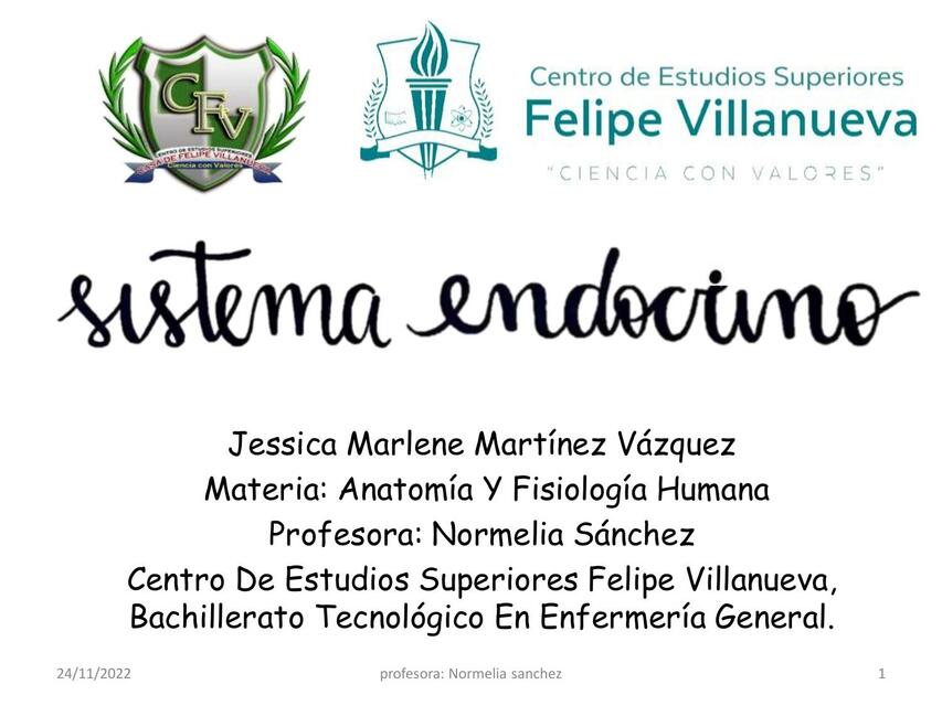 SISTEMA ENDOCRINO