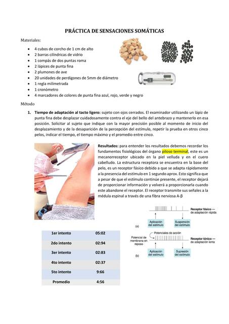 PRÁCTICA DE SENSACIONES SOMÁTICAS