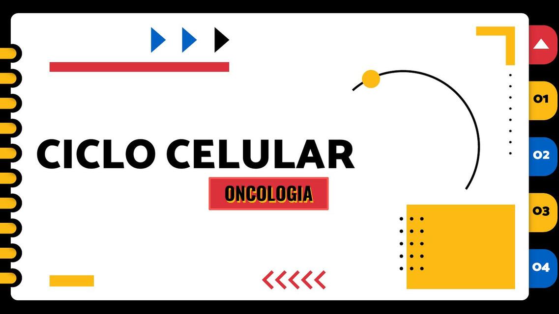 CICLO CELULAR ONCOLOGÍA