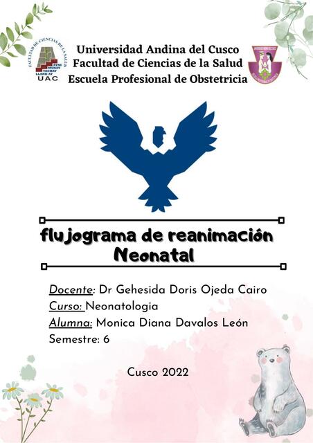 flujograma de reanimación Neonatal