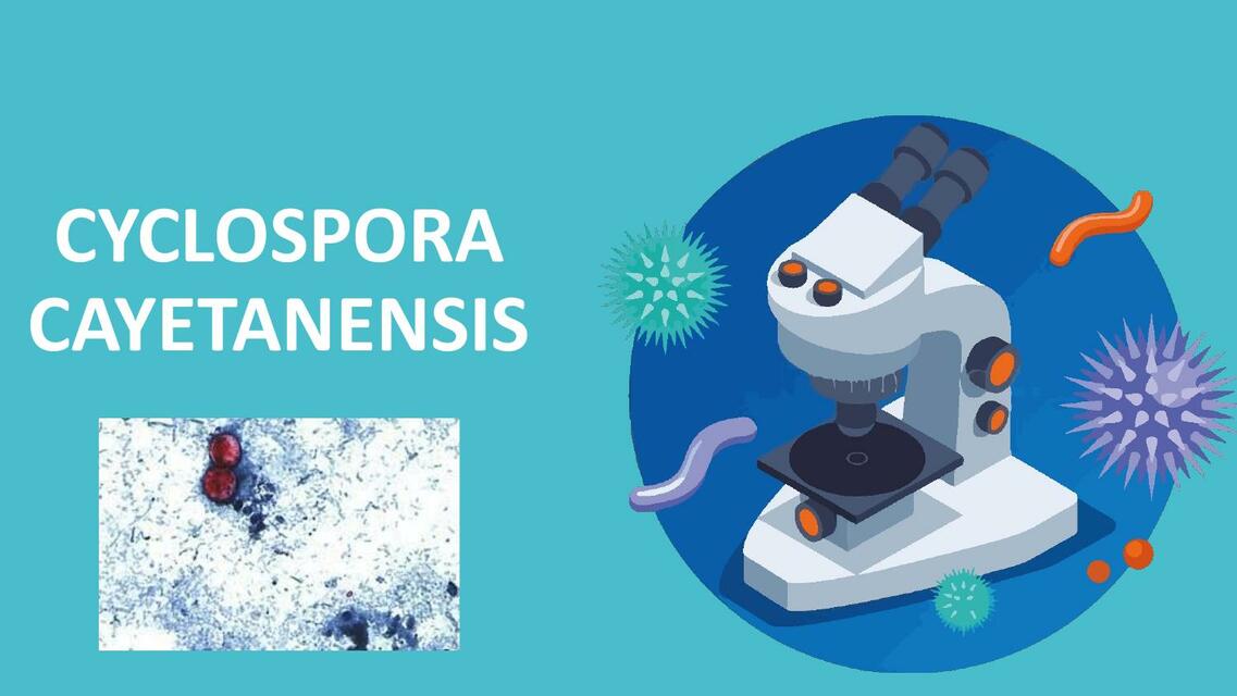 Cyclospora Cayetenensis Jheniffer uDocz
