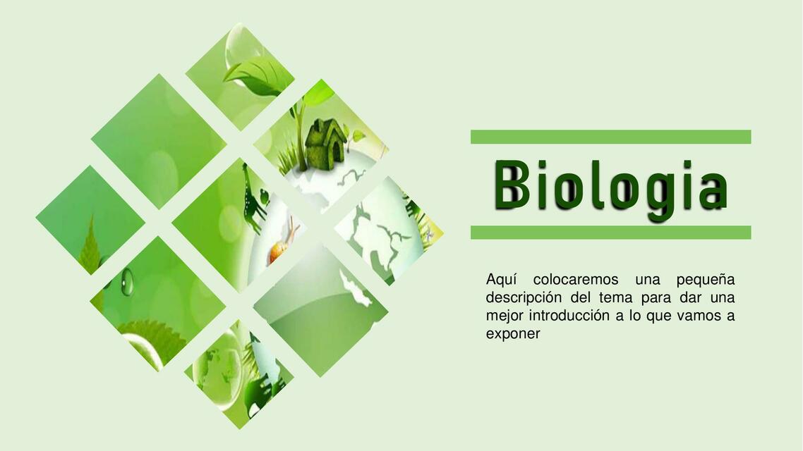 Prediseño de presentación de biología