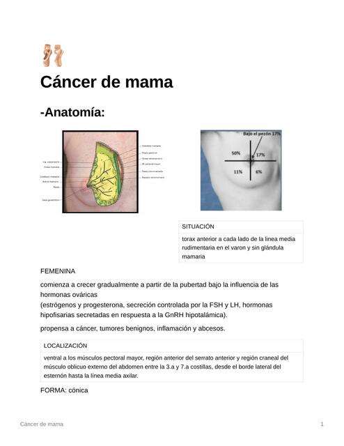 Cáncer de Mama