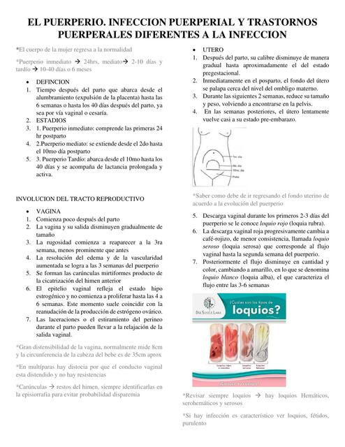 El  Puerperio Infección Puerperal  y  Trastornos Puerperales Diferentes  a la  Infección 