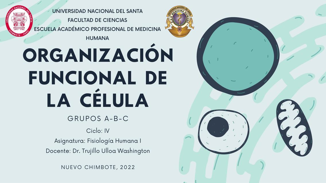 Boron Fisiología: Capitulo 01(Organización Funcional de la Célula) | uDocz
