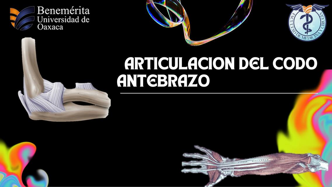 Articulaciones del codo y antebrazo