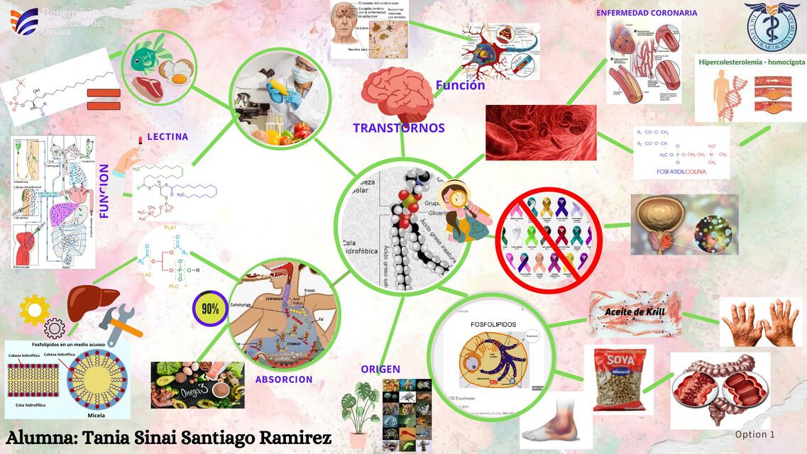 Bioquímica