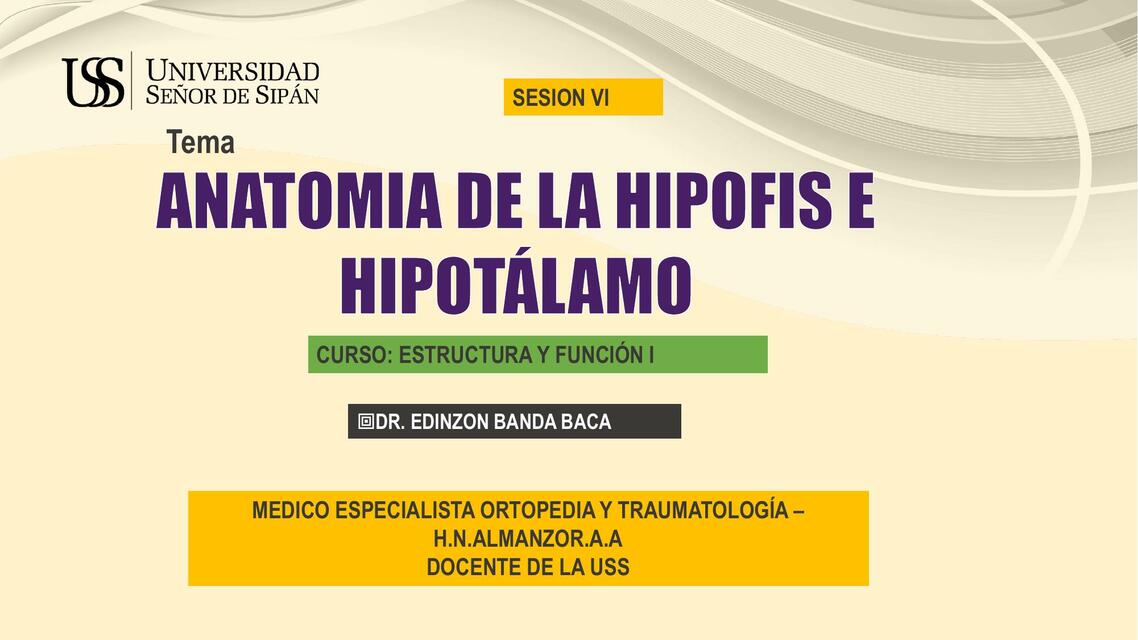 Anatomía de hipófisis e hipotálamo