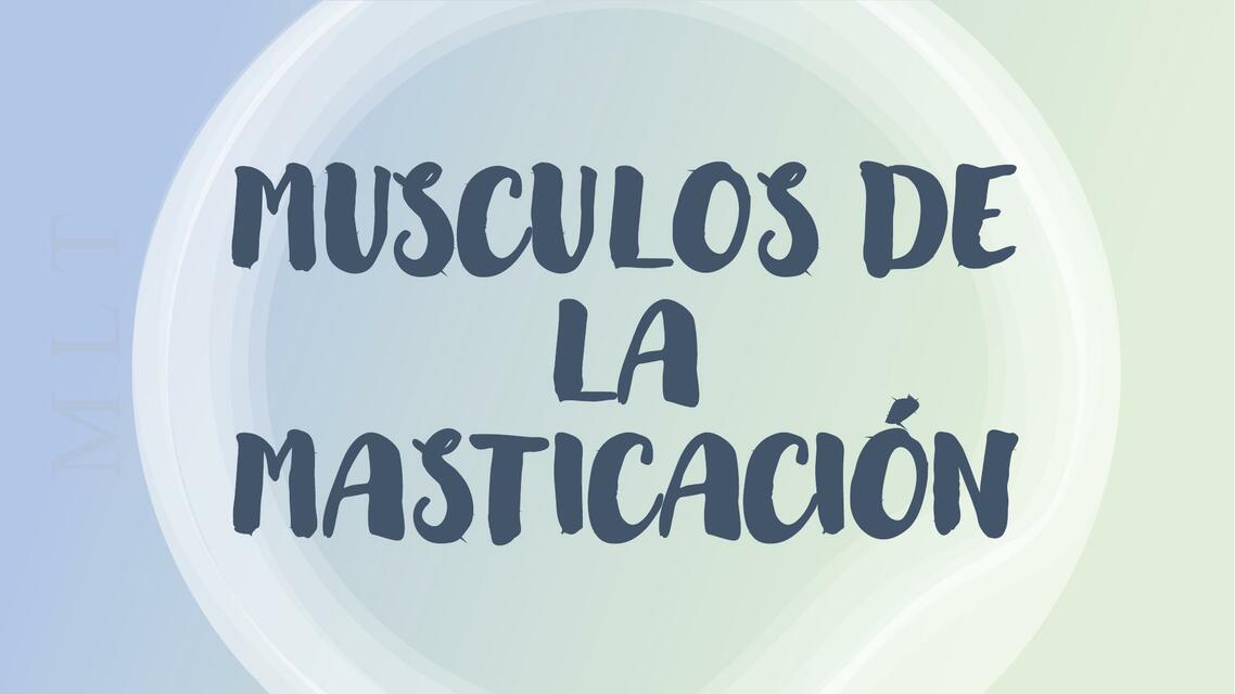 MÚSCULOS DE LA MASTICACIÓN