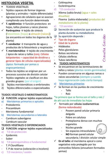 HISTOLOGIA VEGETAL