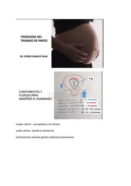 Fisiología del trabajo de parto