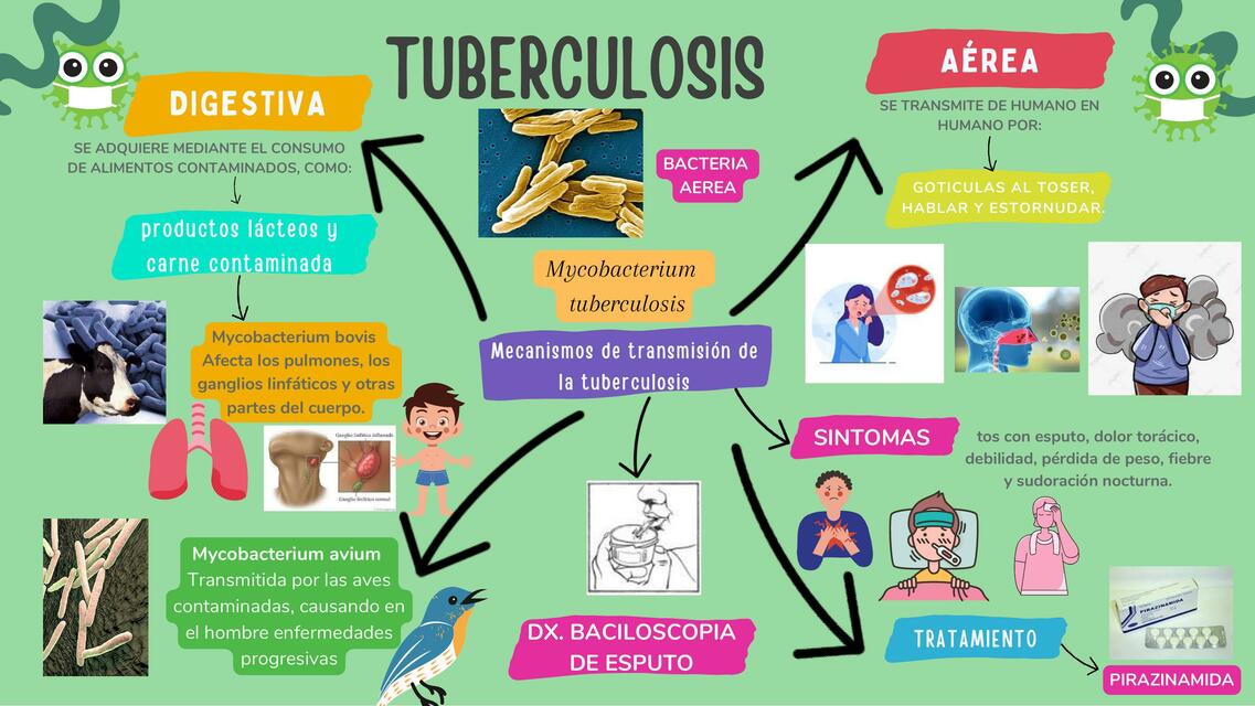 Tuberculosis 