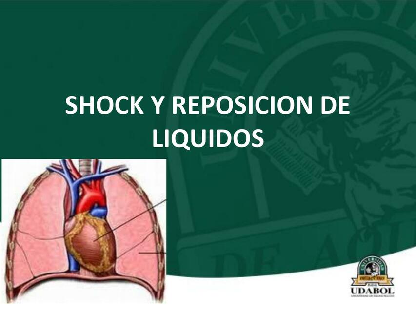 Shock y Reposición de Líquidos 