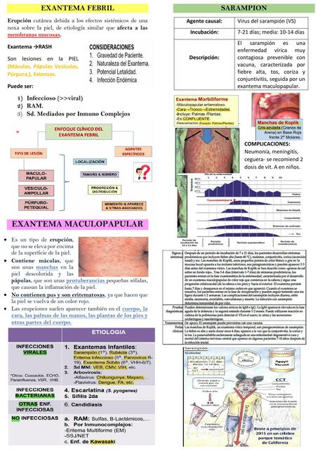Exantema Febril Ruth Campos Udocz