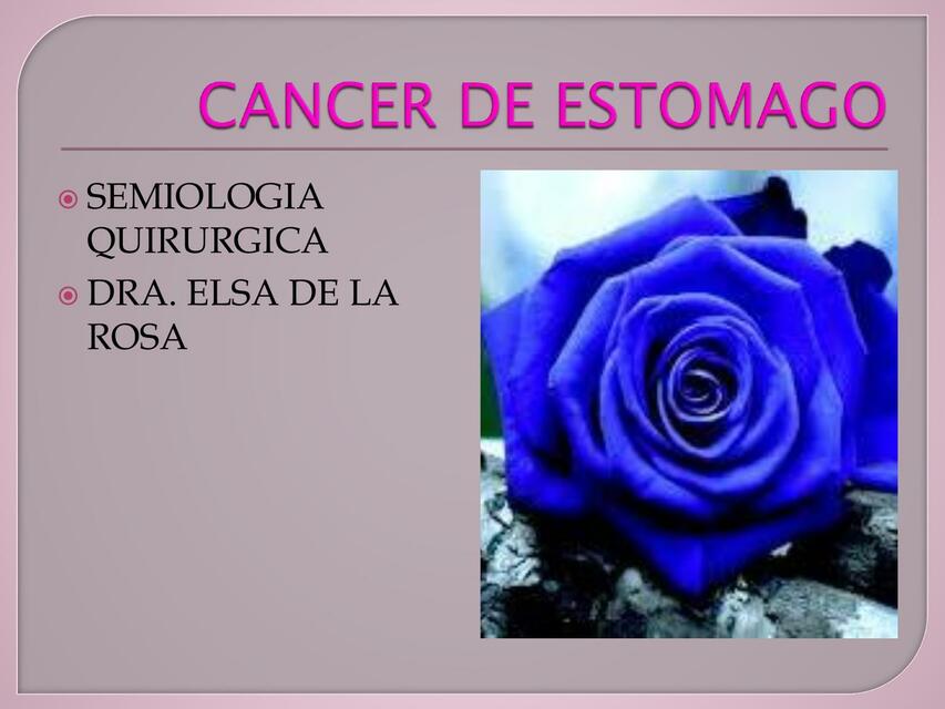 Cáncer de estómago