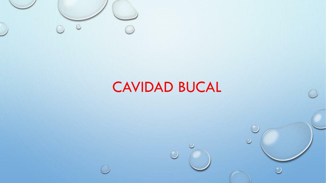 Cavidad Bucal