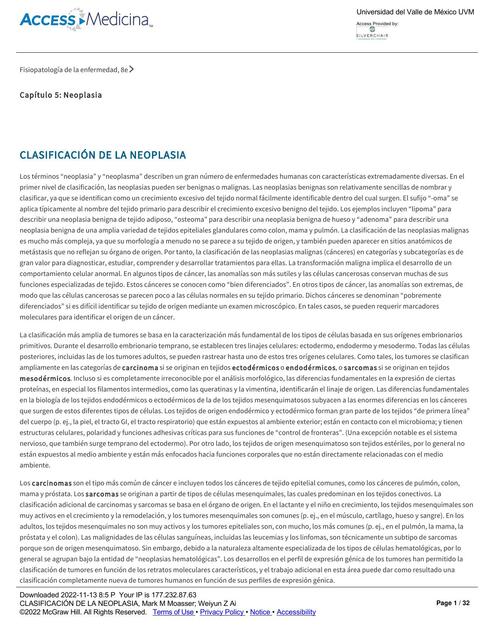 Clasificación de la Neoplasia 