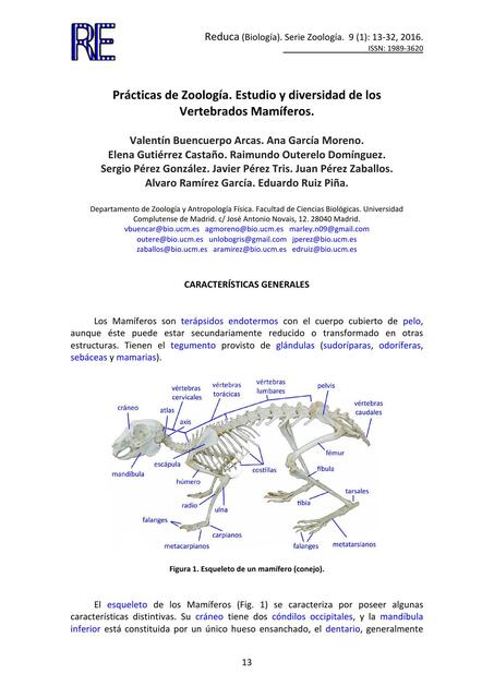 Prácticas de Zoología. Estudio y Diversidad de los Vertebrados Mamíferos