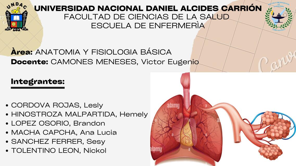 Fisiología Pulmonar Básica 