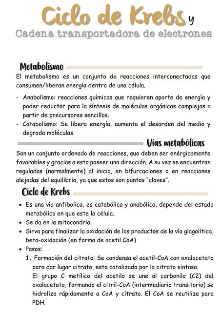 Ciclo de Krebs y CTE