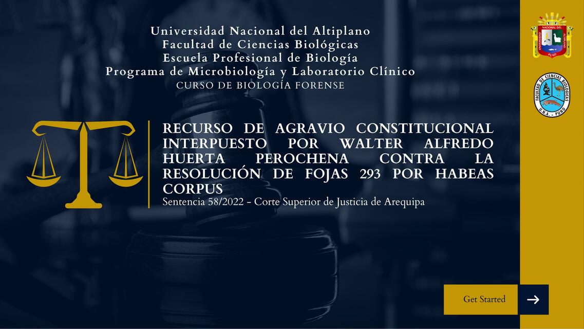 Recurso de agravio constitucional interpuesto por Walter Alfredo Huerta Perochena contra la resolución de fojas 293 por habeas corpus