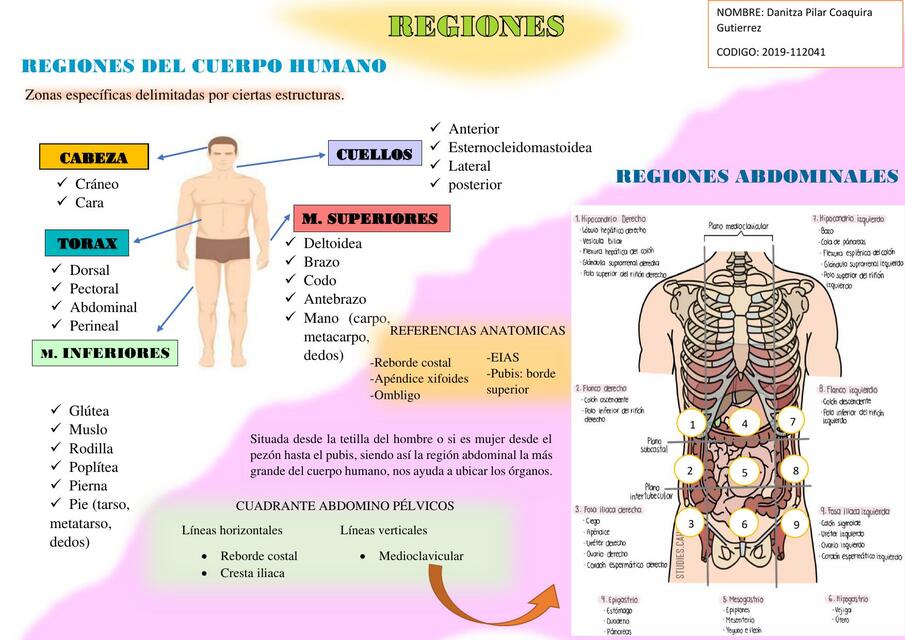 Planos y Regiones 