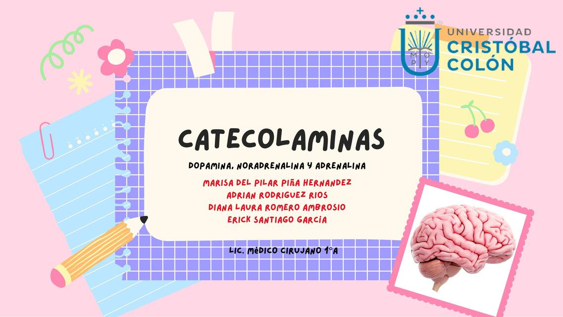 Catecolaminas