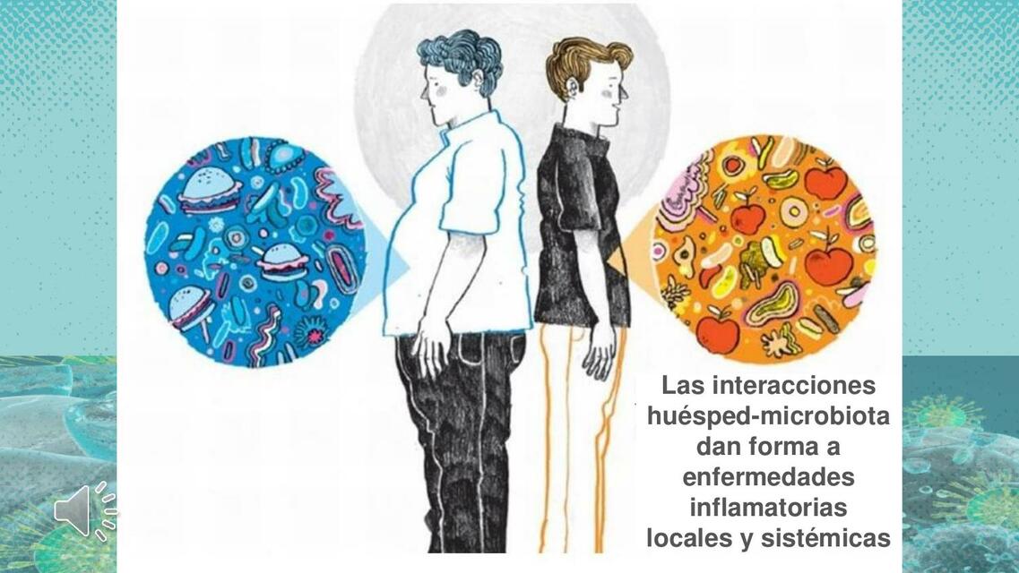 Influencia de la Microbiota en la Regulación del Sistema Inmune