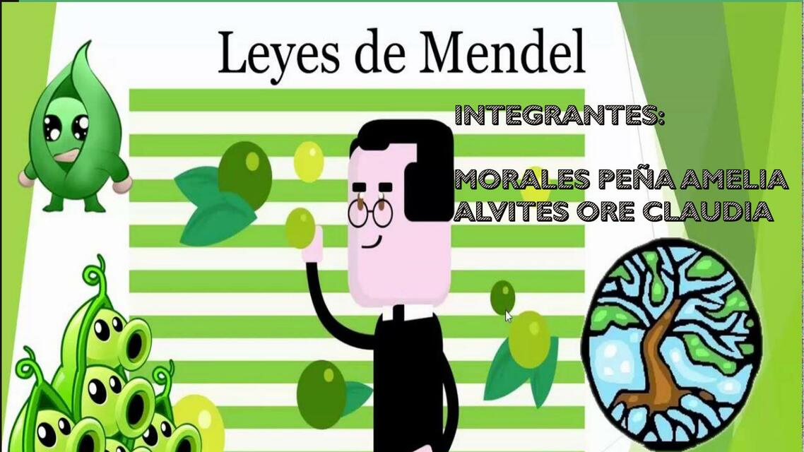 Leyes de mendel