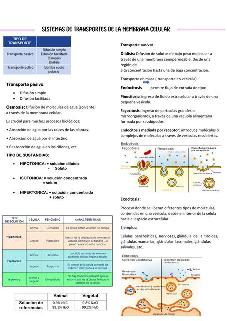 Sistemas de transportes de la membrana celular