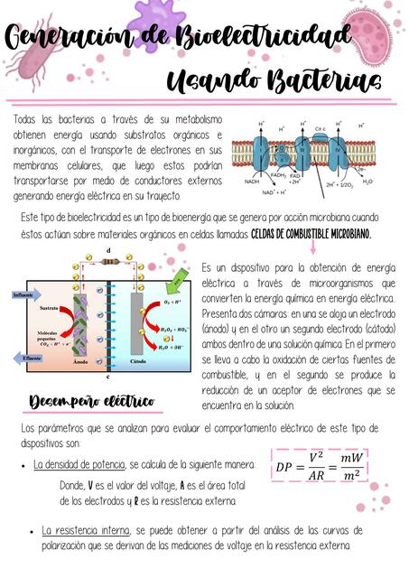 Generación de Bioelectricidad 