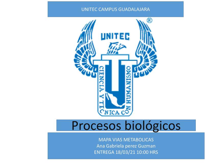 Procesos bioquímicos