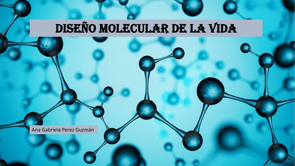 Diseño Molecular de la Vida 