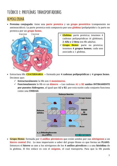 Proteínas transportadoras 