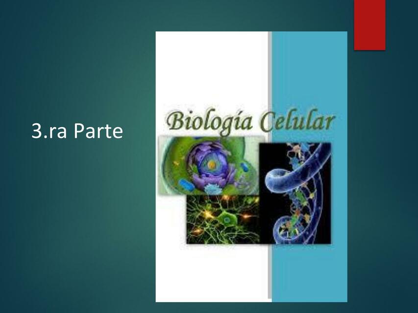 Biología celular 3ra parte